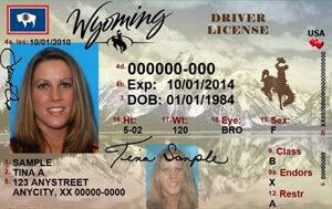 WY DOT driver's license