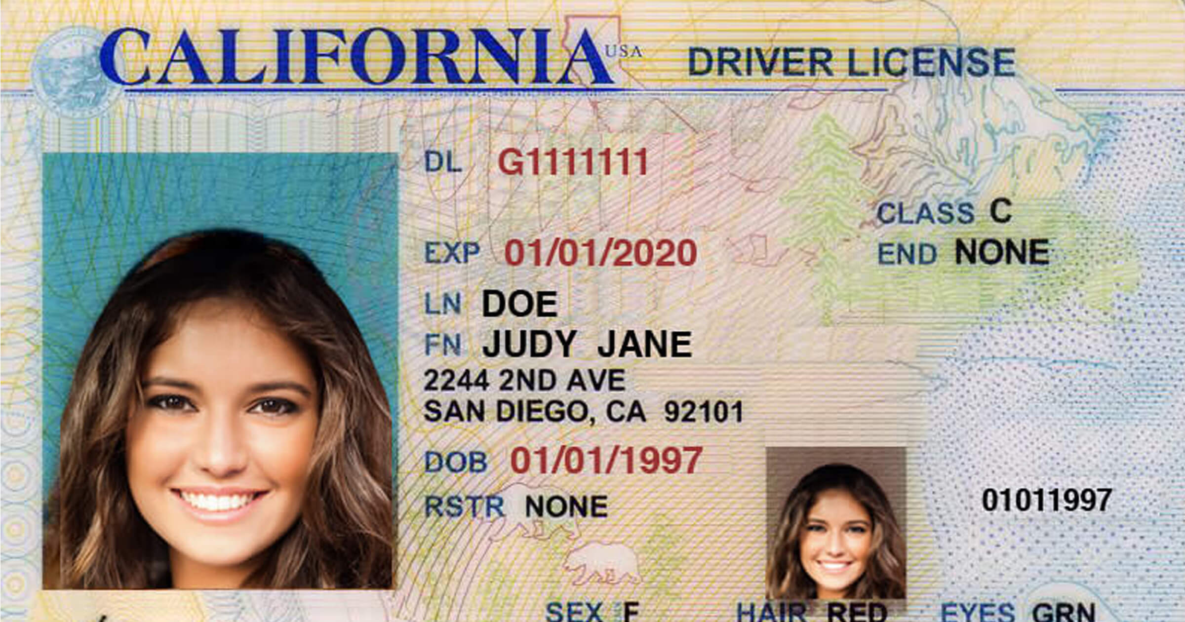 California driver license что это