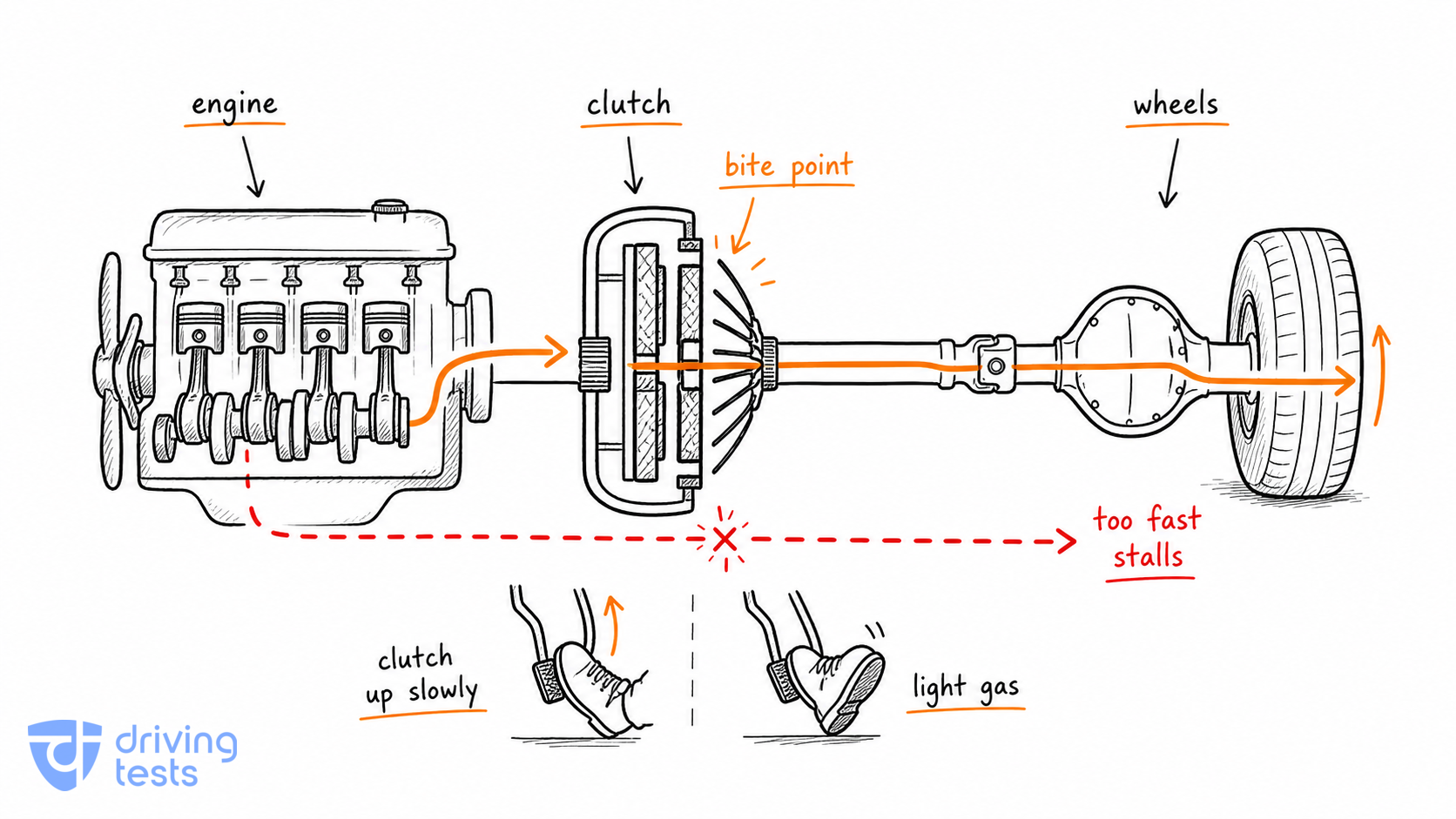 clutch cutaway